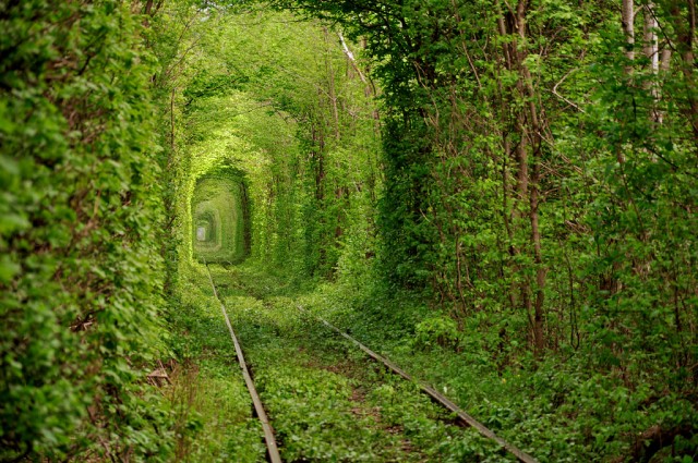 Tunnel-of-Love-640x425.jpg