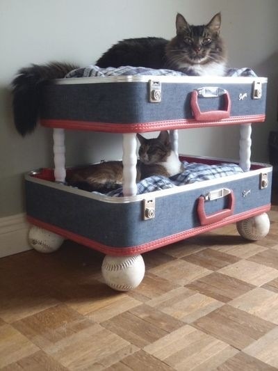 lit superpose pour chat