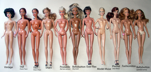 Différents corps de Barbie