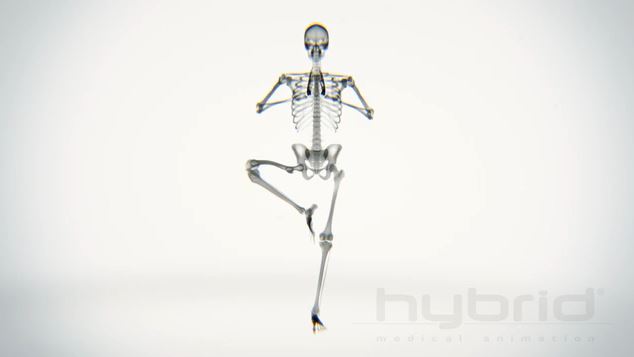 radio squelette yoga