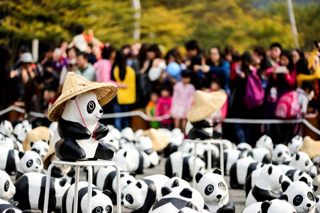 1600 pandas wwf