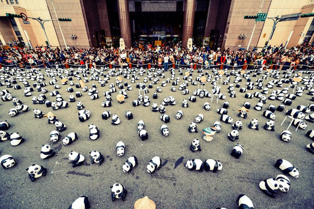 pandas world tour