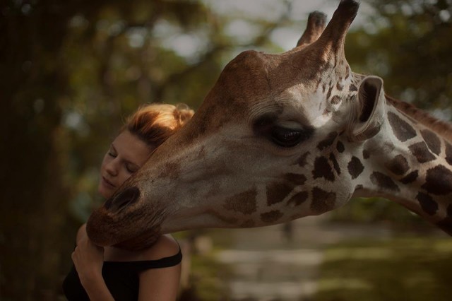 Katerina Plotnikova  Girafe