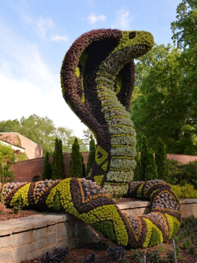 Jardin Atlanta Serpent