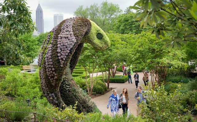 Jardin Atlanta Cobra