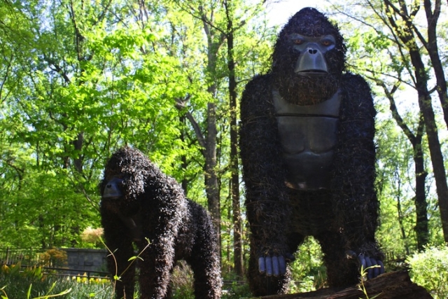 Jardin Atlanta Gorilles