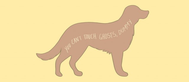 caresse chien fantome