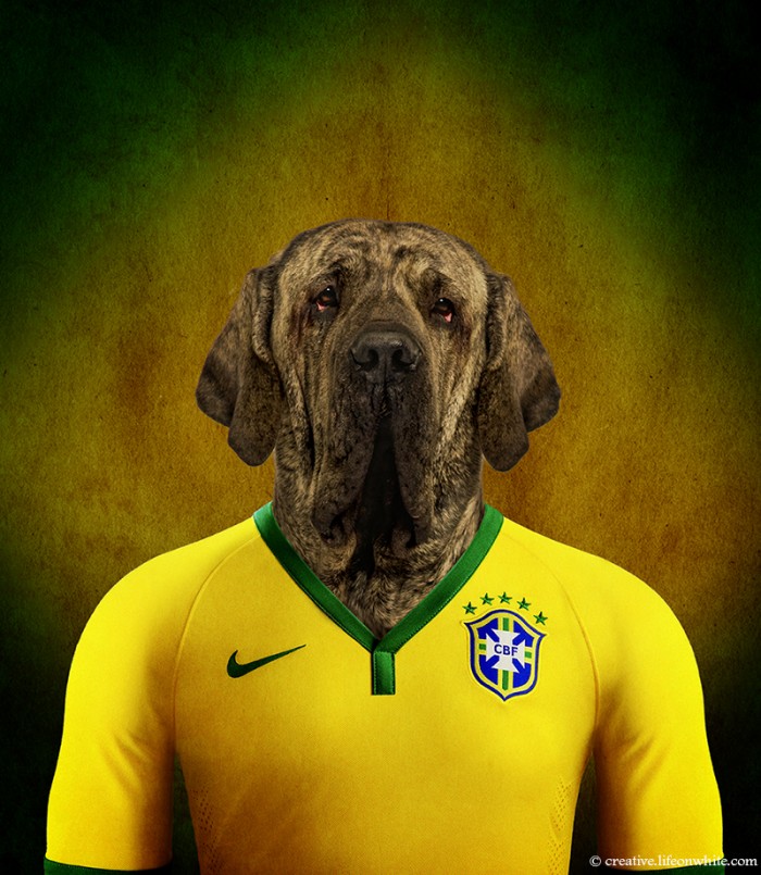 chiens coupe du monde 2014 Fila brasileiro
