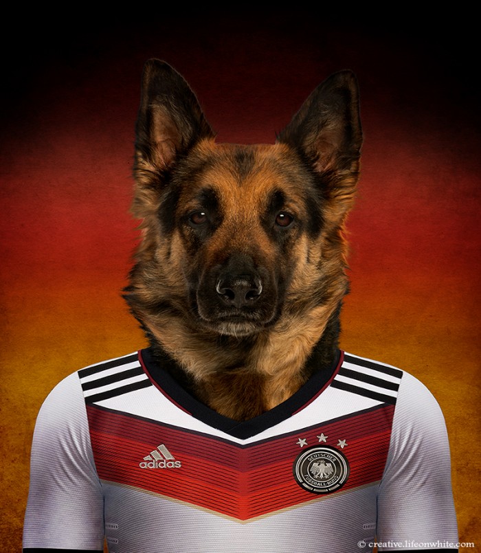 chiens coupe du monde 2014 berger allemand