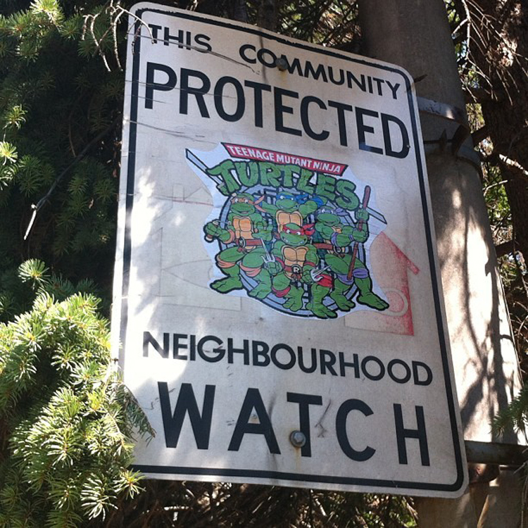 surveillance quartier voisin tortues ninja