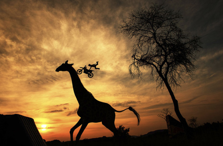 coucher soleil savane afrique