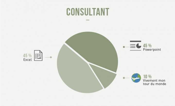 infographie metiers consultant