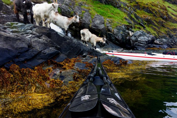 kayak norvege aurlandsfjord