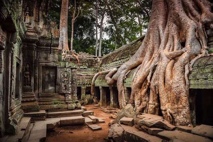 nature homme angkor