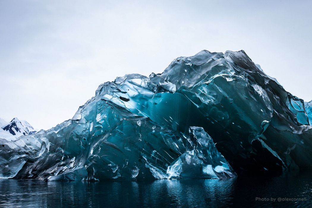photo alex cornell iceberg retourne