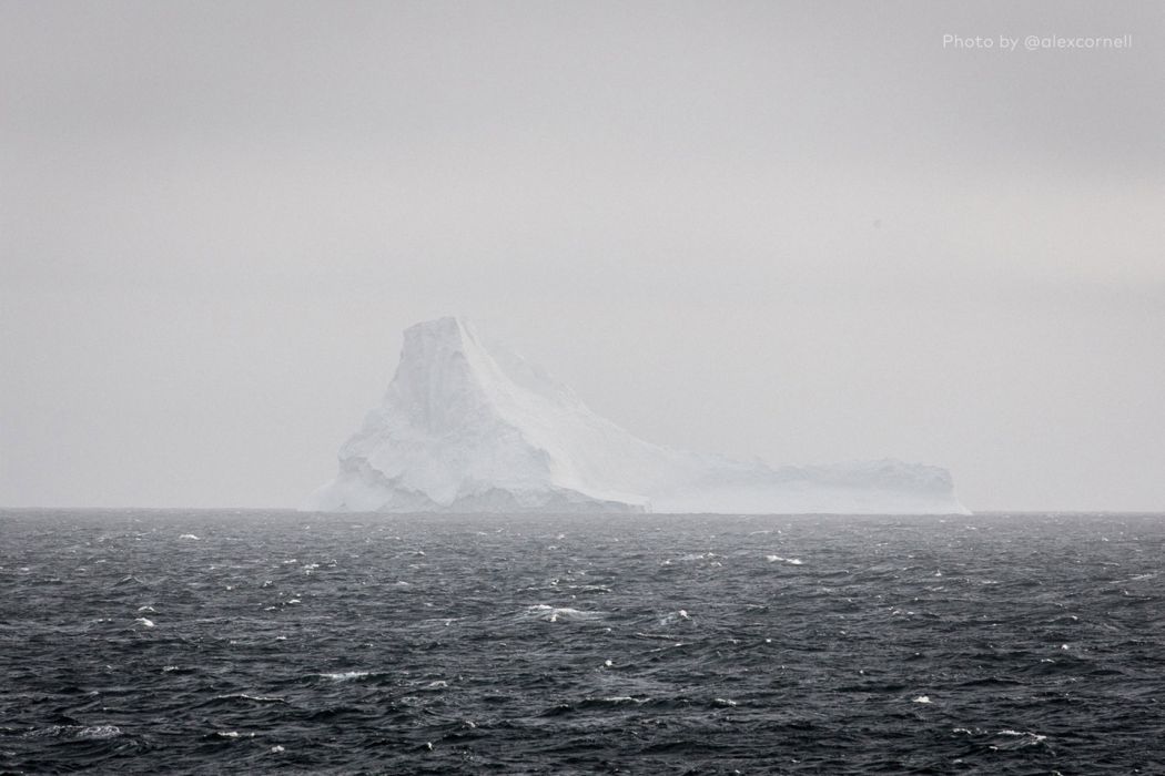 photo cornell alex iceberg antarctique