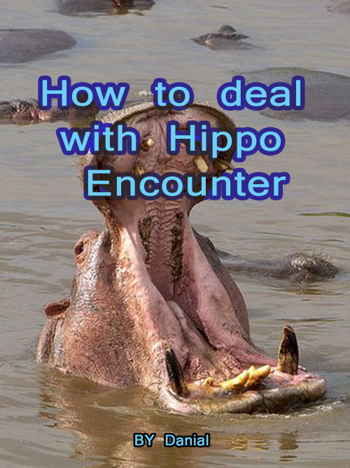 photo couverture auto edition hippo