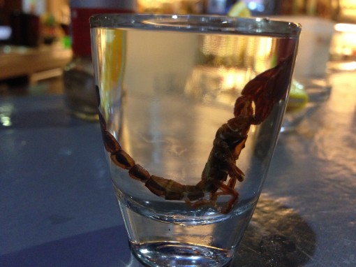 scorpion shot