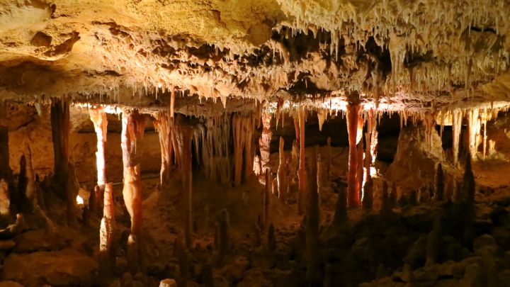 grotte naracoorte australie 1