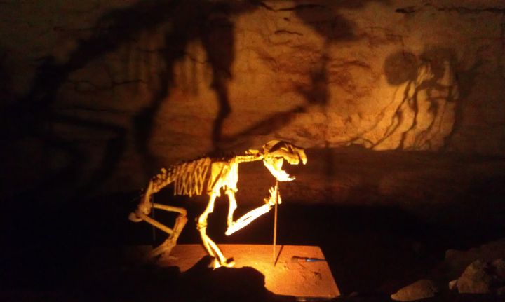 grotte naracoorte australie