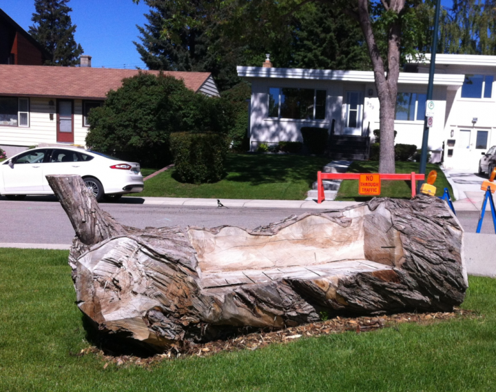 banc public sculptures oeuvre dart tronc arbre