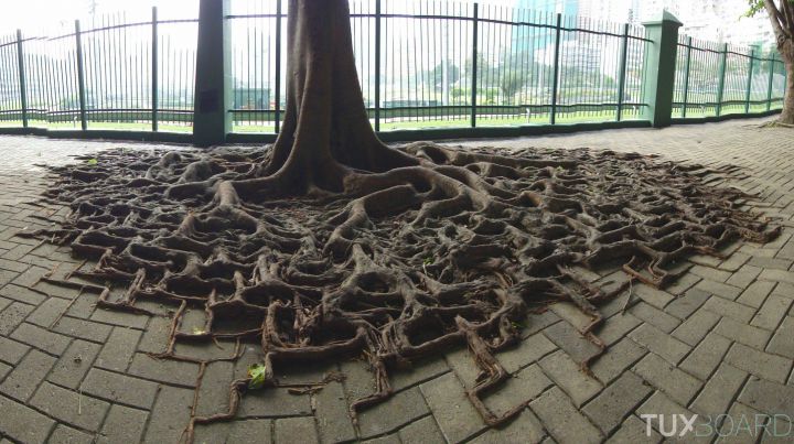 racines carrees