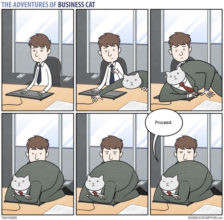 chat humour bande dessinee