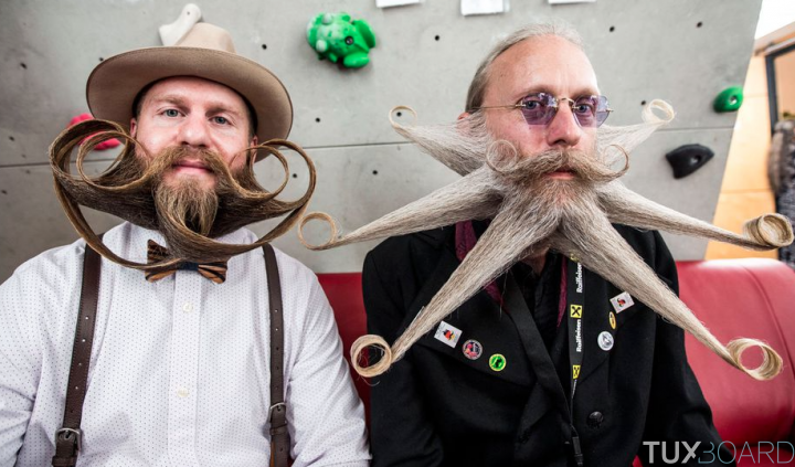 concours moustache et barbe photo 2015