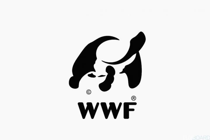 panda wwf transormation tortue madagascar