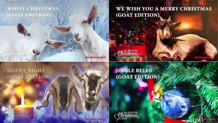 All I want for Christmas is a goat