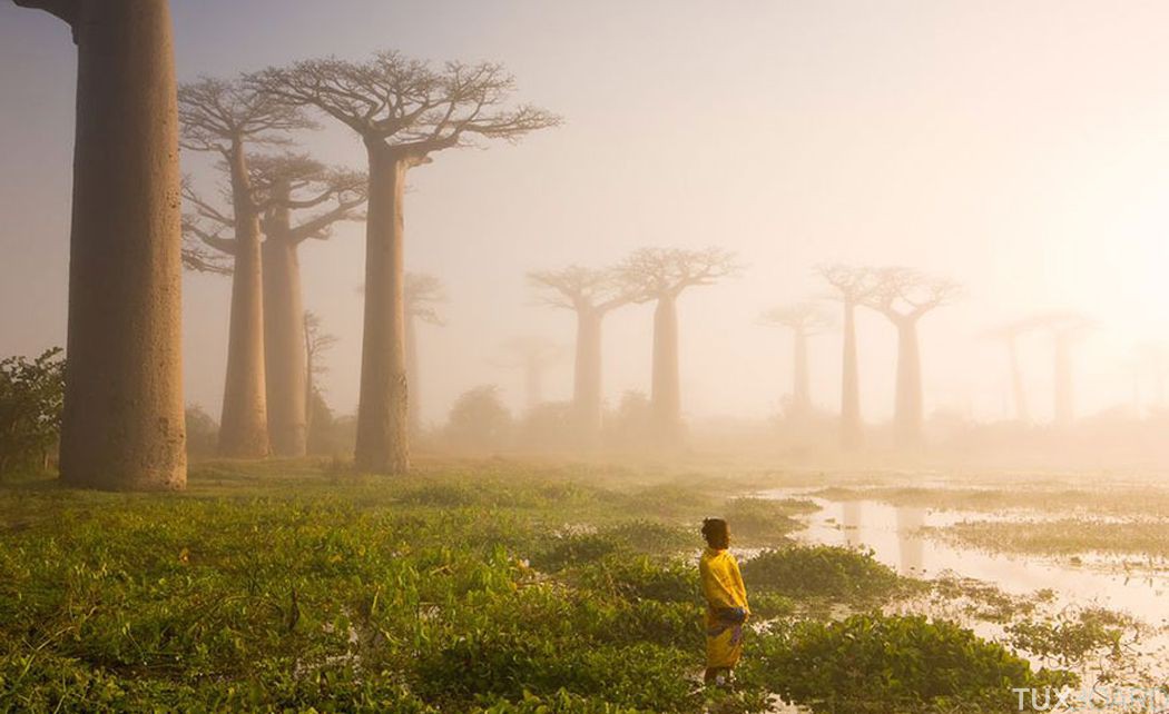 Plus belles photos 2015 National Geographic (8)