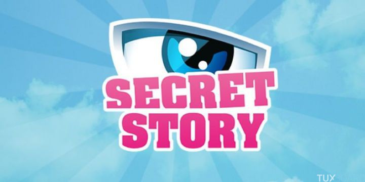 Secret Story 9 top recherches Google France 2015 Emission