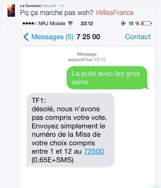 Vote miss france