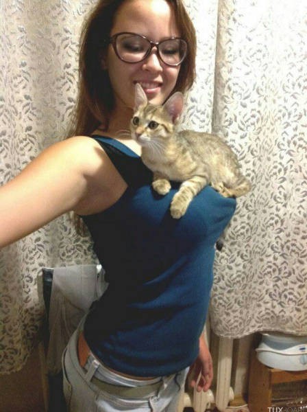chat sur des seins