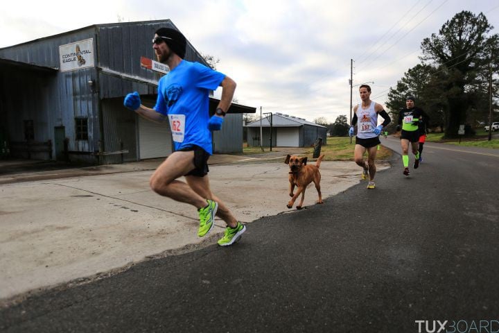 Semi marathon chienne
