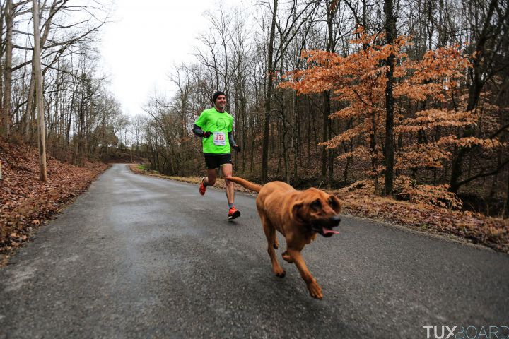 chienne court semi marathon Alabama