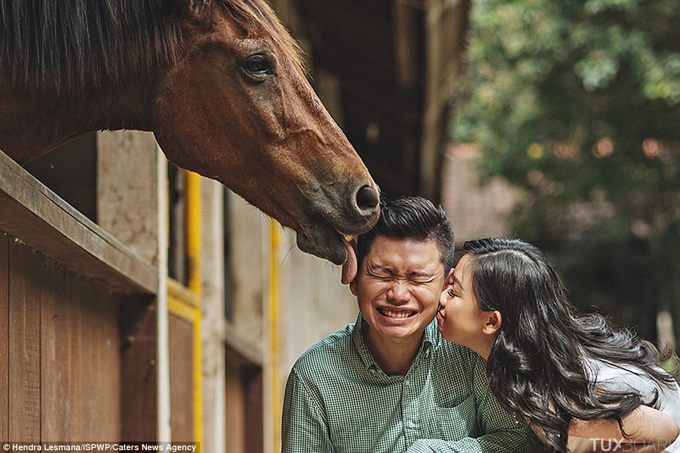 photo mariage photobomb cheval