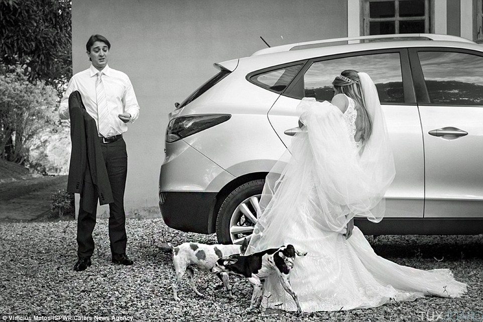 photo mariage pipi chien