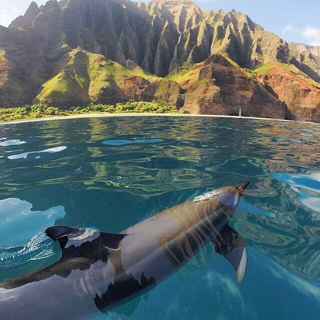 Na Pali Coast Kauai Island - Hawaii