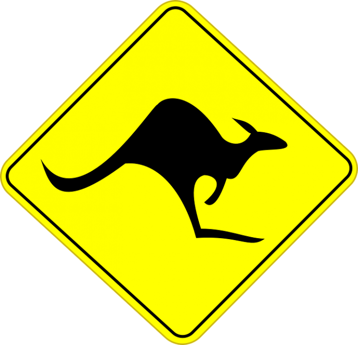 attention kangourou
