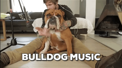 musique bulldog