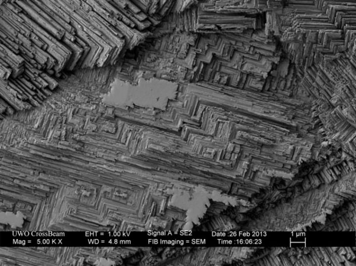 surface piece monnaie vue microscope