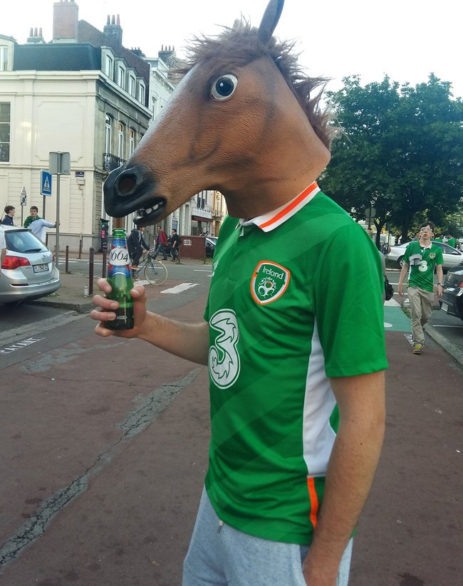 fan irlandais tete cheval
