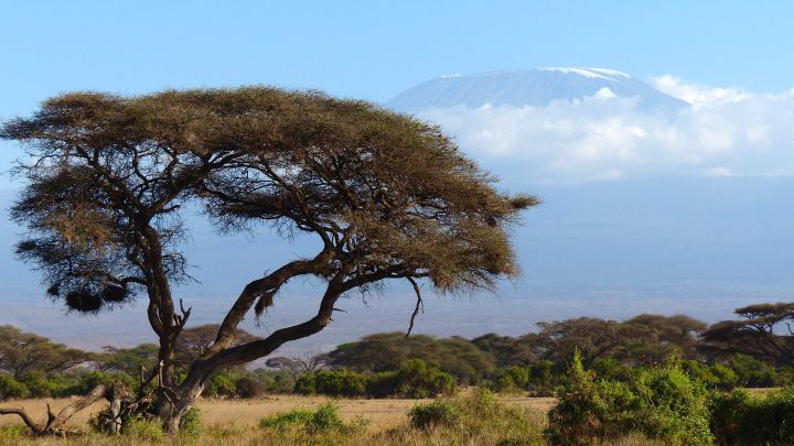 kilimanjaro-tourisme-photo