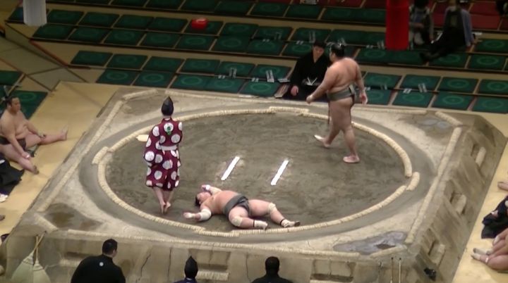 sumo ko combat