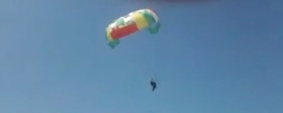 Ane volant avec un parachute