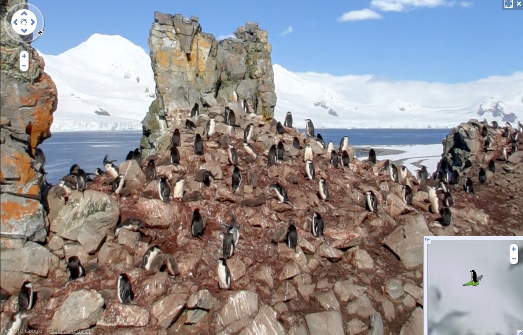 Google Maps Pingouins Antarctique