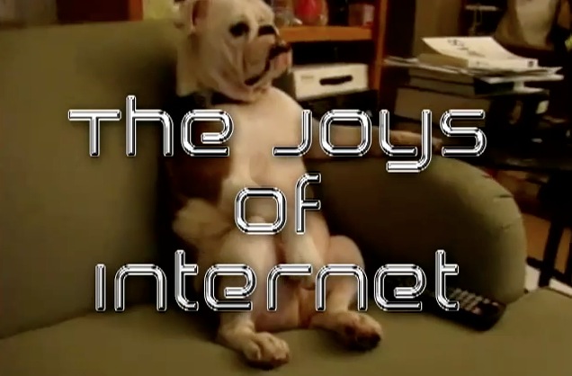 Video Joys of Internet