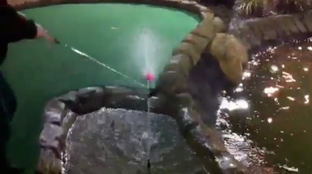 Video Mini Golf avec le coup de la fontaine