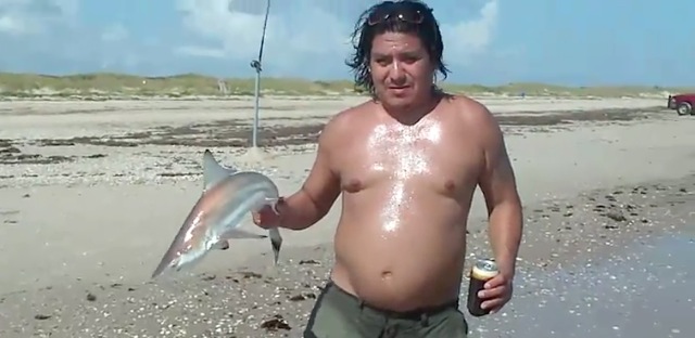 Video homme mordu bebe requin